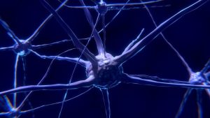 dia mundial del cerebro 2021 lema detener esclerosis multiple