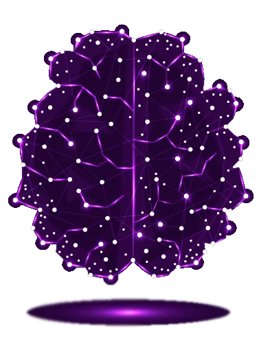 Brain