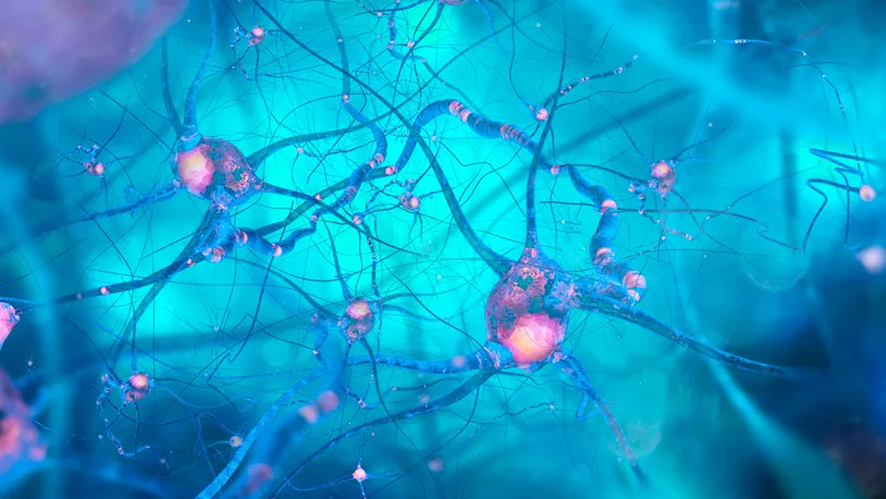 Enfermedades Neurodegenerativas
