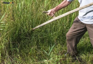 ¿Qué es la marcha del segador? Causas, síntomas y tratamiento